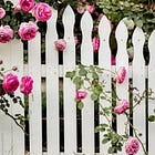 Outgrow what no longer fits with fence board theory