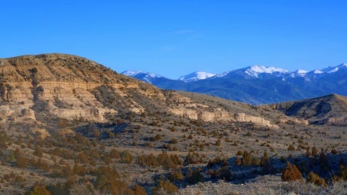 Tobacco Roots from Pipestone