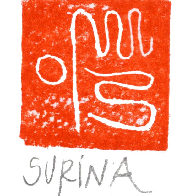 Sofá da Surina
