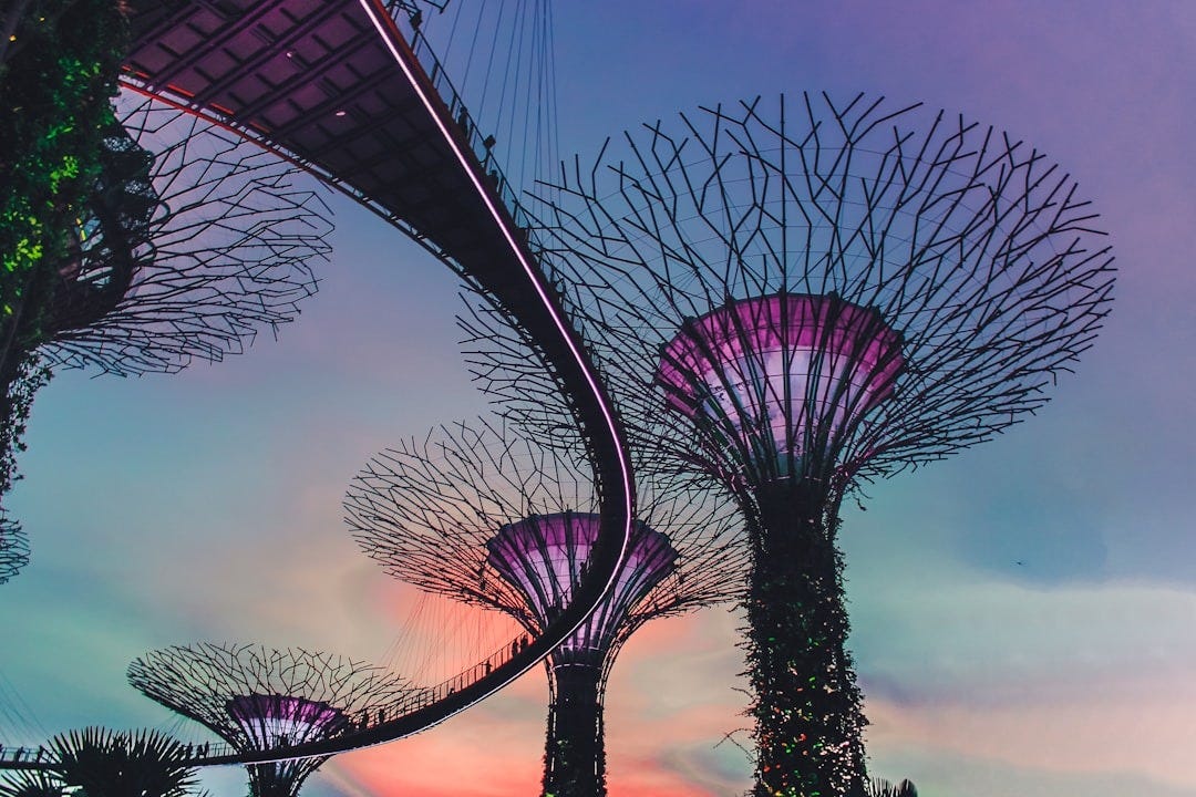 photo of Gardens by the Bay, Singapore photo of Gardens by the Bay, Singapore