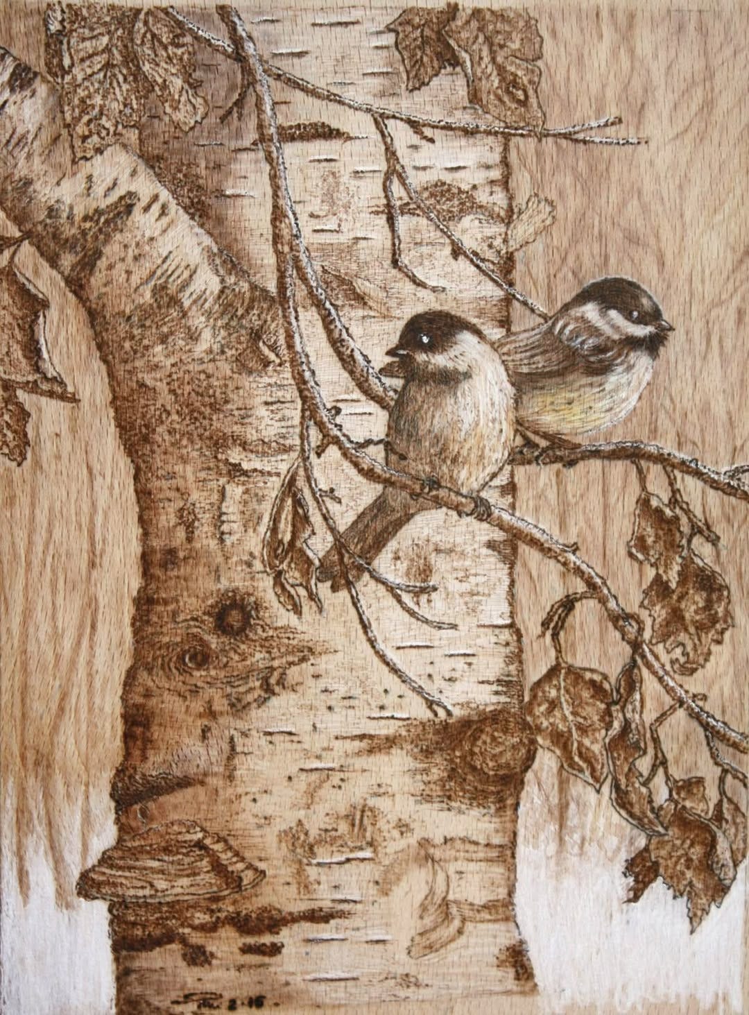 No photo description available.