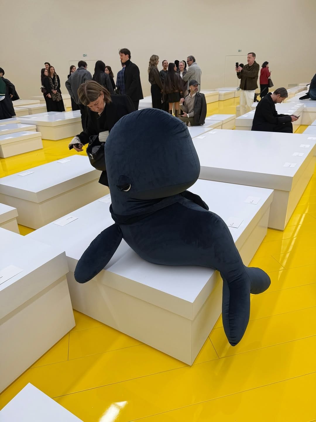Loewe fall 2026 whale