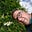 Andy Weekes's avatar