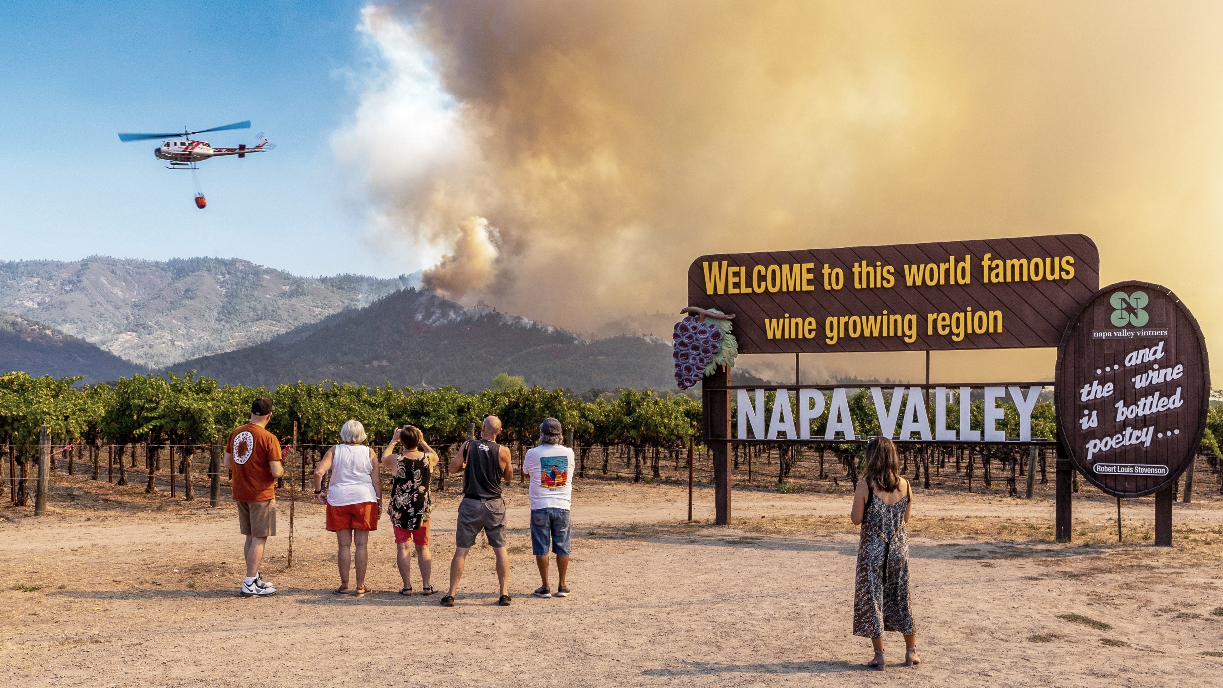 napavalleyfocus.substack.com - Under the Hood: Smoke Taint Science Narrows the Lab-to-Palate Gap as Napa Braces for Fire Season