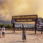 Under the Hood: Smoke Taint Science Narrows the Lab-to-Palate Gap as Napa Braces for Fire Season