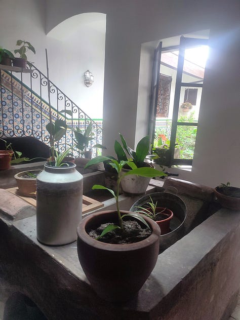 ¿Qué harías si tuvieras unos días de tregua?