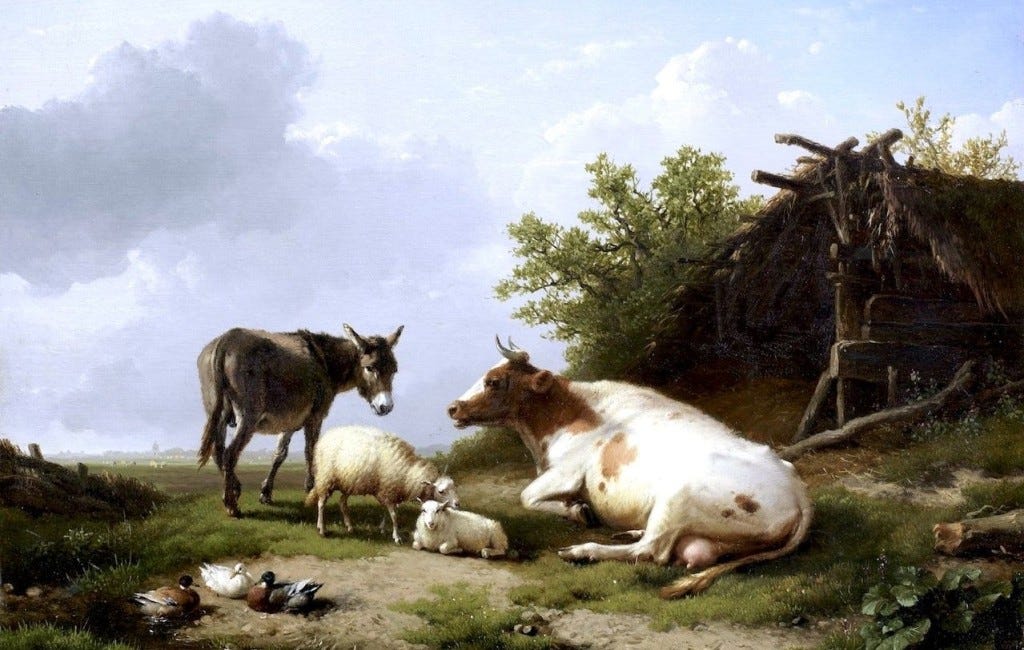 Should Christians be concerned about animal welfare? (Part 4)