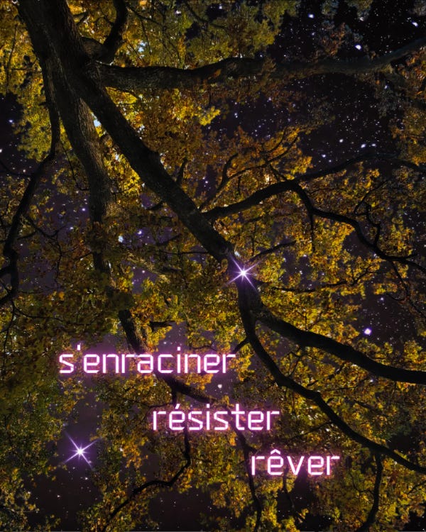 Chêne automnal devant un ciel étoilé. Les mots s'enraciner, résister, rêver sont écrits en rose fluo sur la photo.