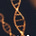 Jaydee Azavari's avatar