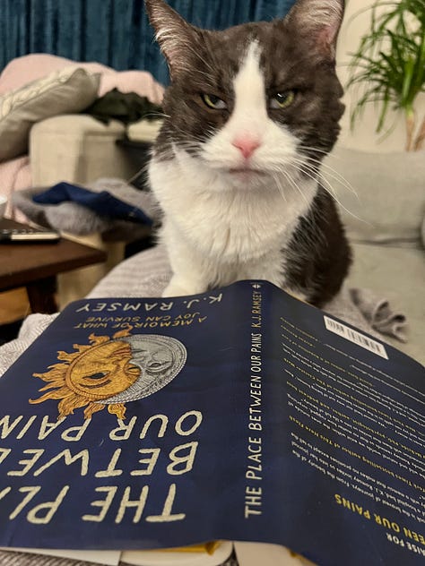 Photos of a tuxedo cat, Simmer, in various places, mostly on laps and blankets and with KJ Ramsey's memoir, The Place Between Our Pains
