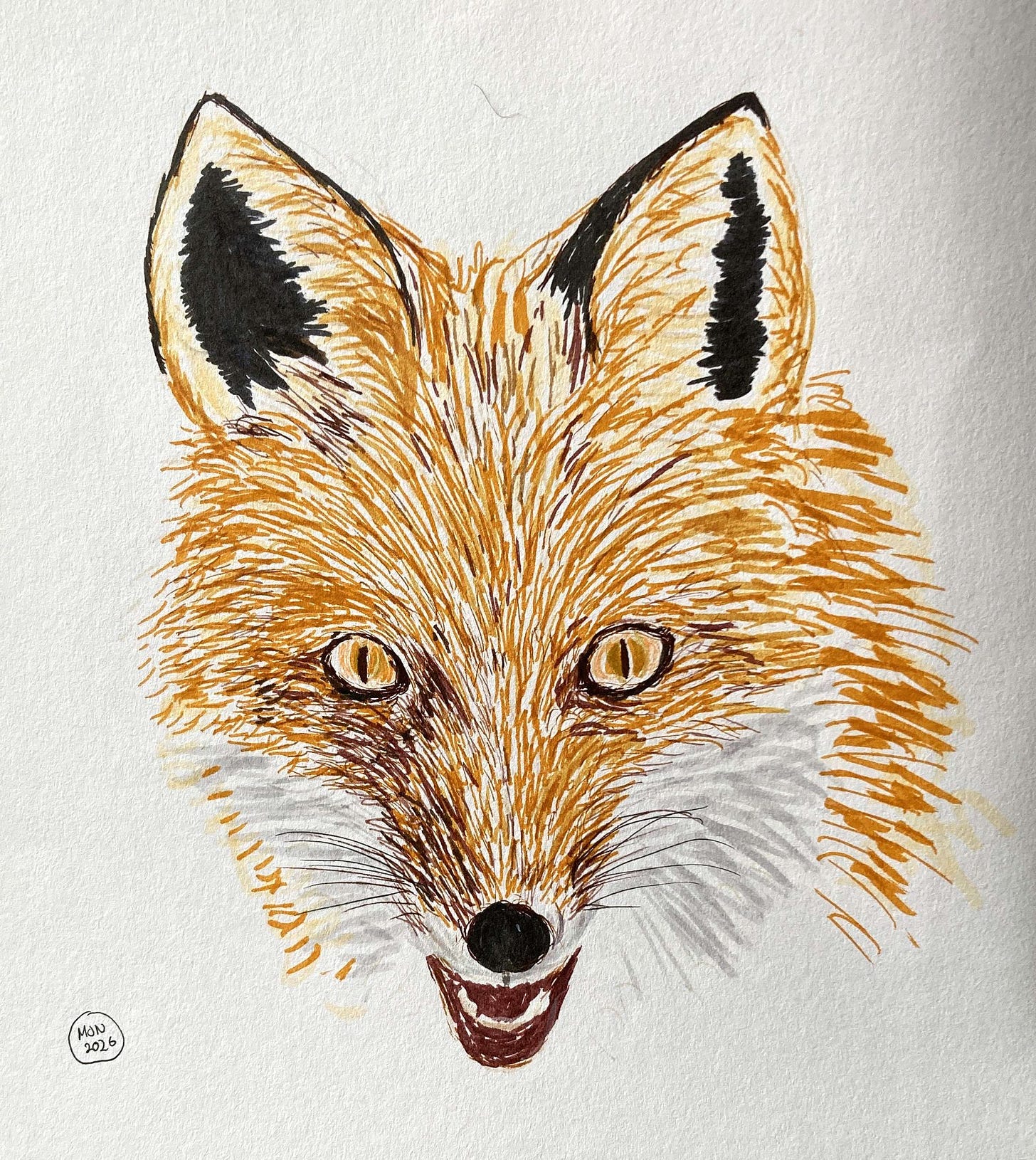 A felt pen drawing of a red fox head, front on, fox looks very happy. A felt pen drawing of a red fox head, front on, fox looks very happy.