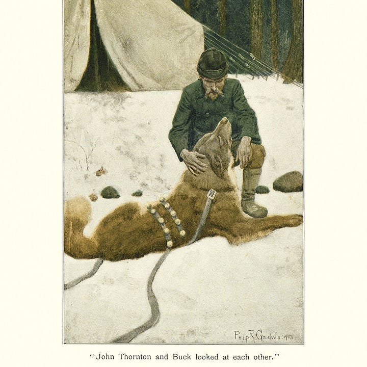 - A bookplate image of Jack London's "Call of the Wild" where Buck watches one wolf brutally attack another - A sepia-toned bookplate of Buck looking lovingly at his master - An image of the first pages of the first edition with illustrations