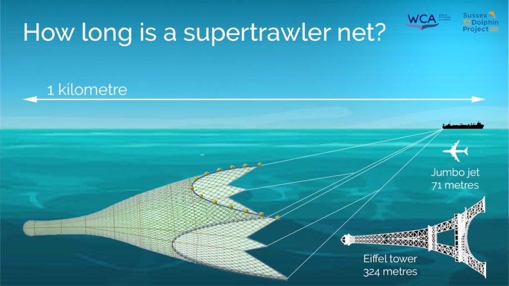 The devastating trail supertrawlers leave behind - Blue Planet Society