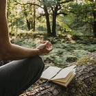 ReWilding the Soul EcoSpirituality Certificate (March 2026 – February 2027)