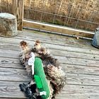 𪡠You're Doing Great