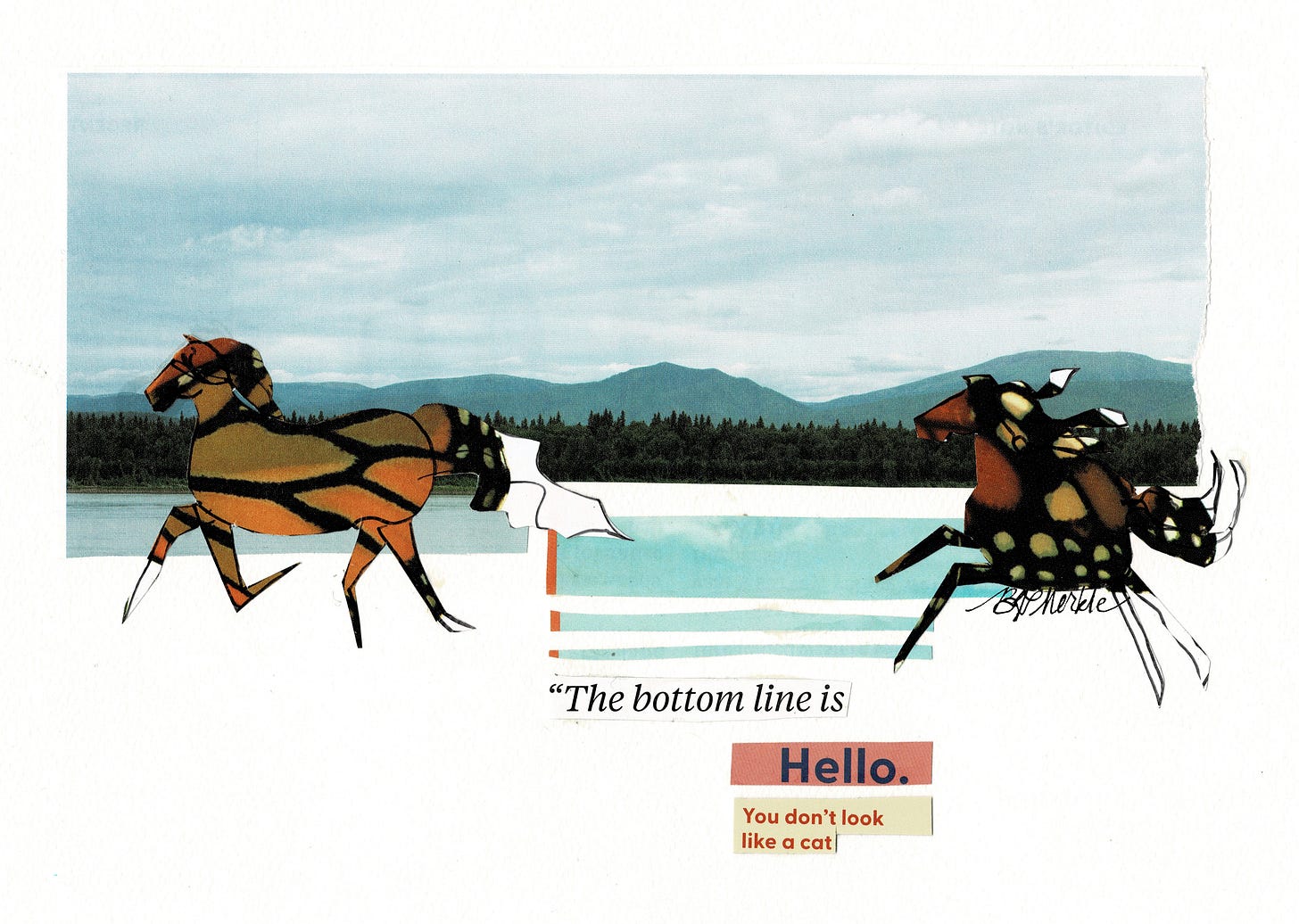 A collage created by layering a cut-out image of mountains and a forest at the edge of a large body of water. Overtop are two horses, cut out from a photograph of a monarch butterfly (so the horses have orange and black abstract patterns across their bodies). Three strips of blue paper, each with an orange band at the far left, are glued below the landscape image, between the two horses. Under the images is text which reads: line 1: The bottom line is Hello. You don’t look like a cat.”