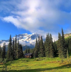 Screen Shot 2019-07-24 at 11.49.21 AM