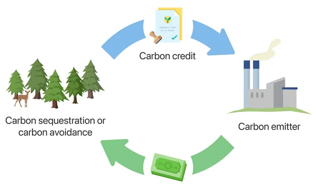 Step-by-Step Guide to understanding how Carbon Credits Work Step-by-Step Guide to understanding how Carbon Credits Work