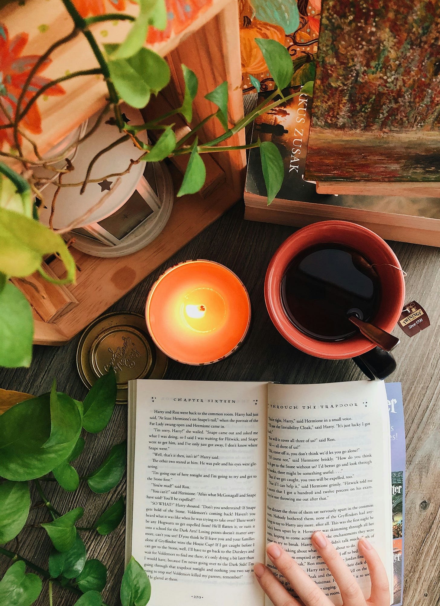 Hand holding open a book with cup of tea and lit candle Hand holding open a book with cup of tea and lit candle