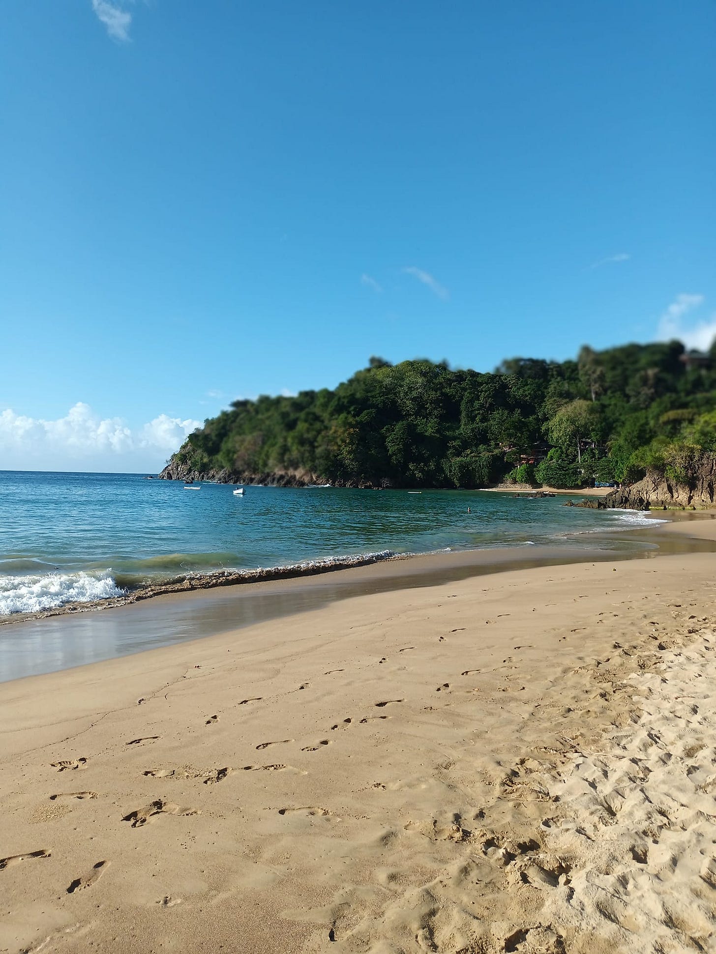 May be an image of ocean and beach