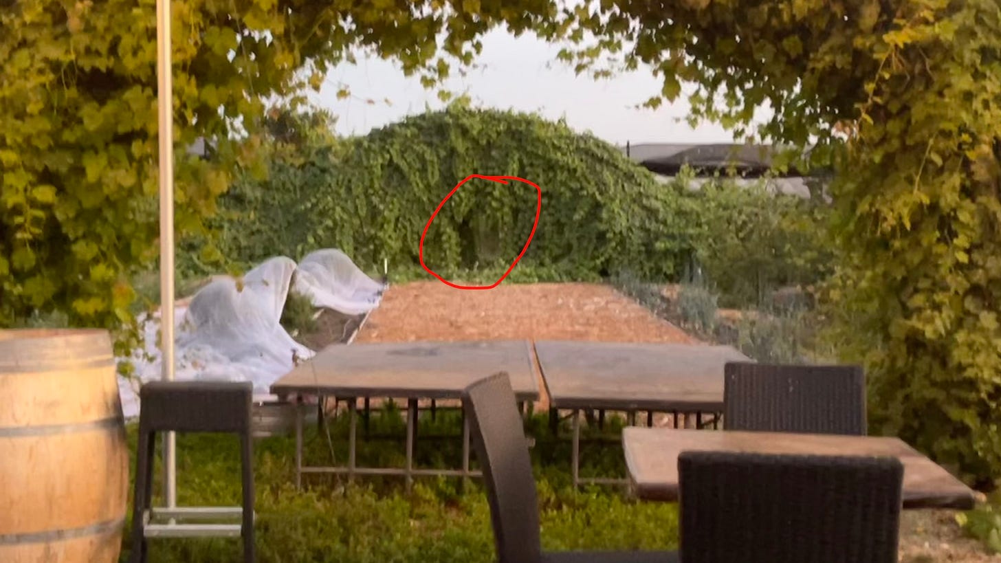 A wedding venue promotional image with hedges and tables. One of the hedges is circled to indicate that is where the wolf will appear in the movie.