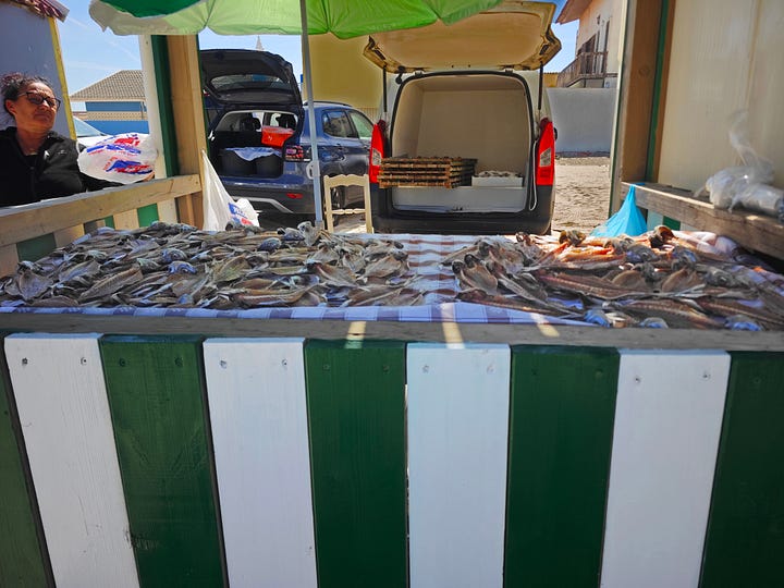 Small, wood stalls with striped paint, selling fish. 