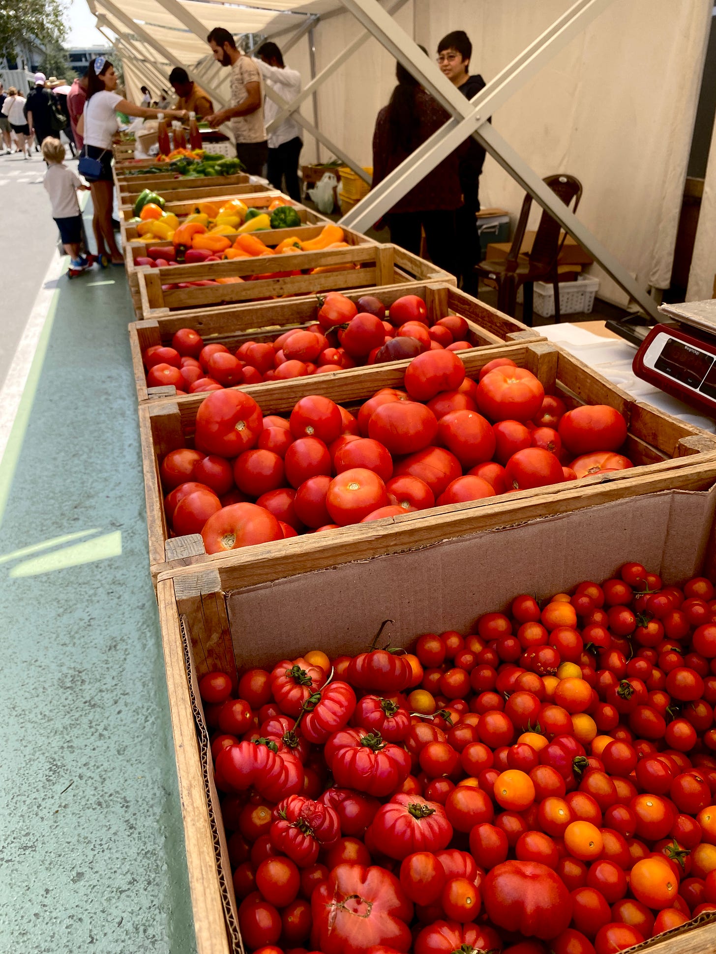 More tomatoes and stall sellers at the market.