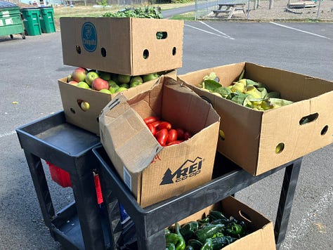 Images of gleaning healthy and fresh food for the people to address hunger insecurity