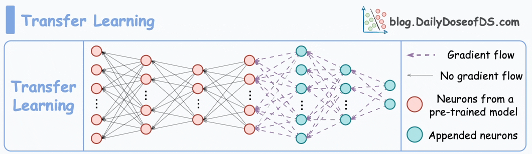 Transfer Learning vs. Fine-tuning vs. Multitask Learning vs. Federated ...