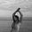 Brittany Chambers's avatar