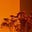 Sunset monologues's avatar