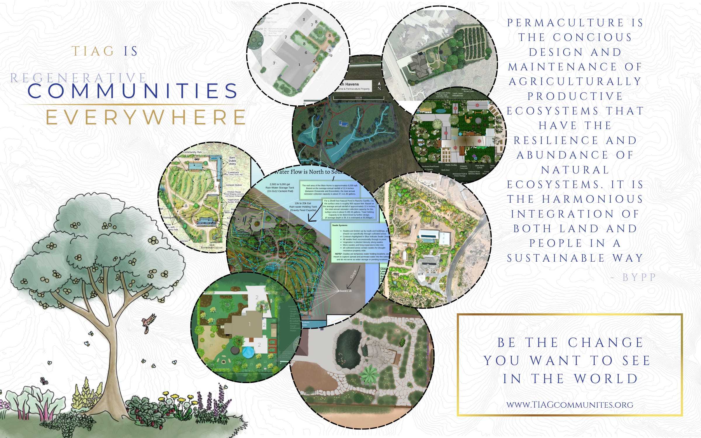 Tiag Seattle Lifetime Members: Welcome Back to the New TIAG