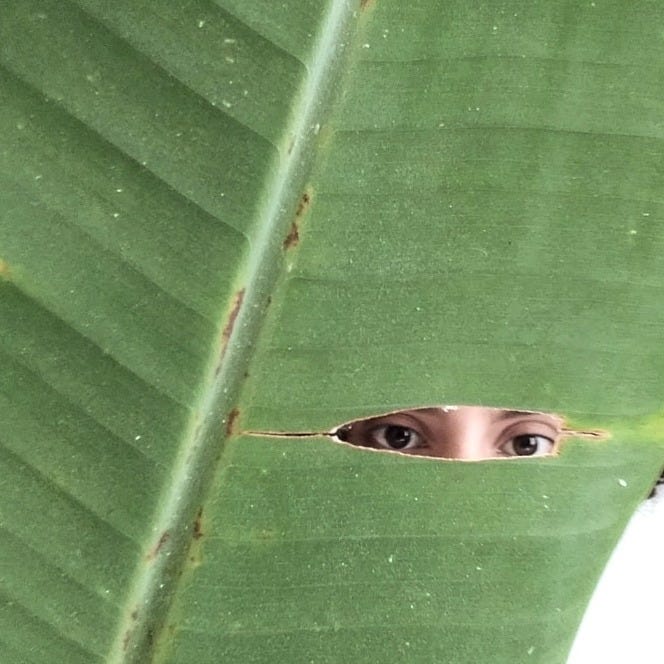 Oriana Ochoa Figueira