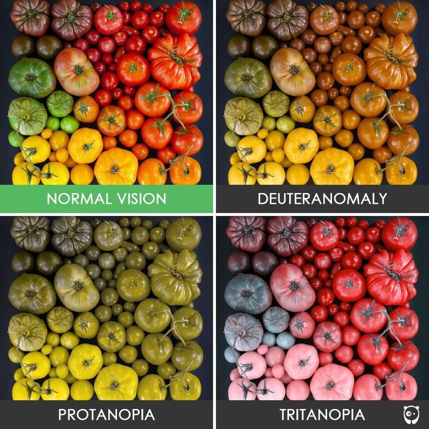 Midtown Optometry - Different Types of Color Blindness and Distinguishing Them Midtown Optometry - Different Types of Color Blindness and Distinguishing Them