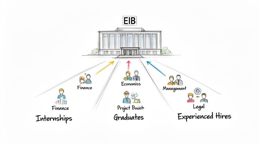 Diagram shows career paths (internships, graduates, experienced hires) leading to the EIB building.