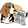 The Daily Beagle