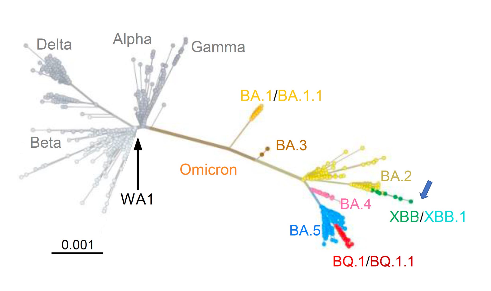 チャート　1/5P A new variant alert - by Eric Topol - Ground Truths