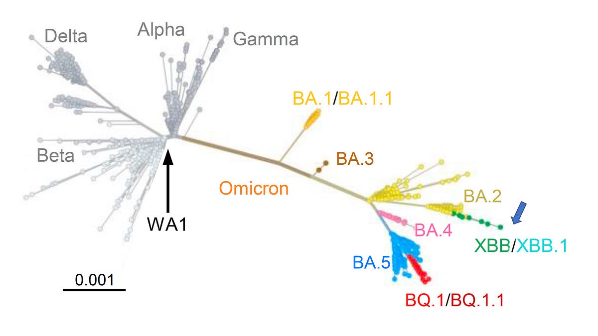 XY CP BW EBB　RRまとめ A new variant alert - by Eric Topol - Ground Truths