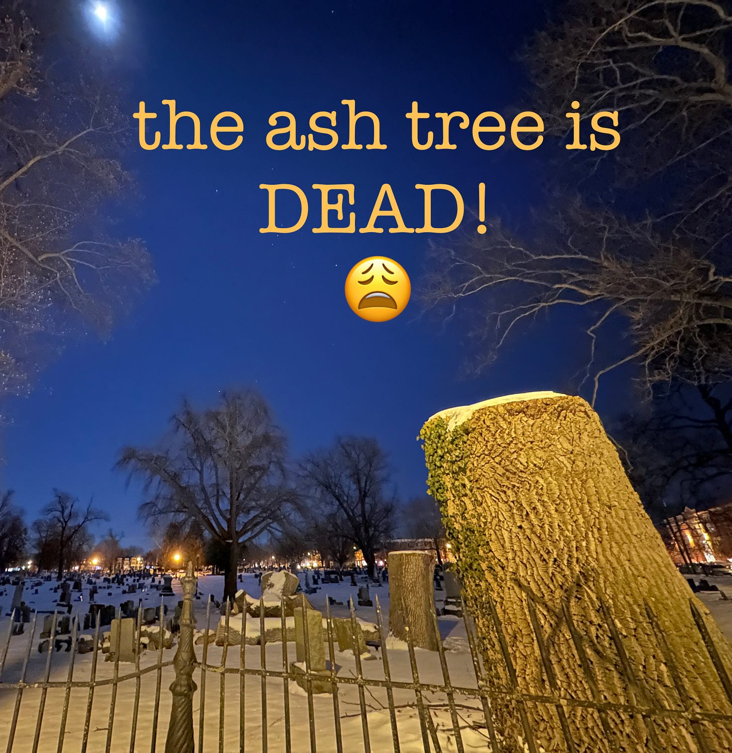 the X-marked column of the tree’s trunk, Moon shining down on a snowy Lancaster Cemetery