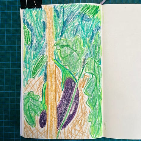 Photos des 5 dessins de légumes dans le jardin (cornichons, aubergines, tomates, poivrons).