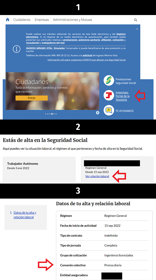 Paso a paso sobre cómo consultar tu convenio en la Sede Electrónica de la Seguridad Social, entrando en Importass