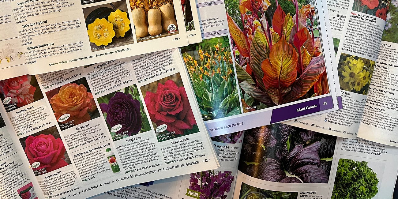 Floraporn & foodporn 