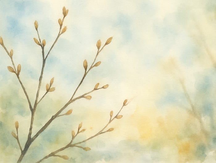 Watercolor branches with early spring buds against a soft sky, symbolizing gentle growth and compassionate new year intentions for sensitive people.