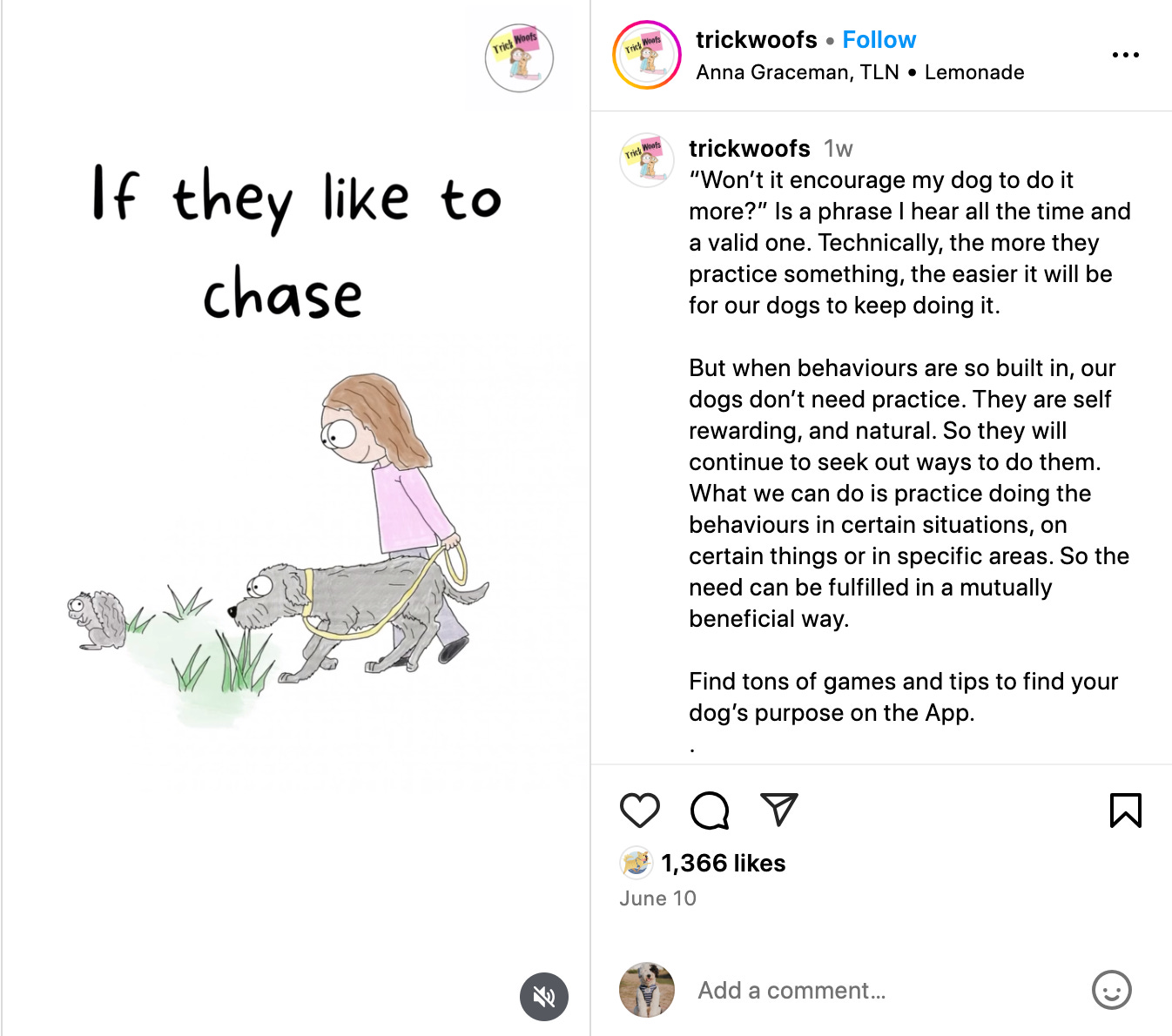 screenshot of trickwoofs reel that looks like a series of cartoony animations about a dog and a human - this shot is of a woman walking a dog who has their eyes locked on a bunny with the words above them 'if they like to chase'