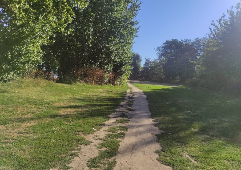 A hard-packed muddy section in the middle of green grass shows where mostly people have walked