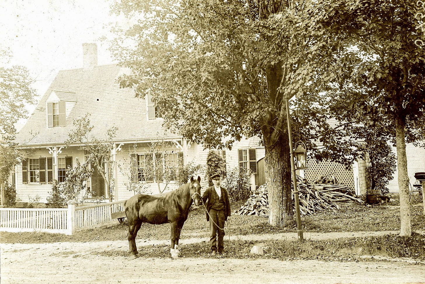 Man with horse