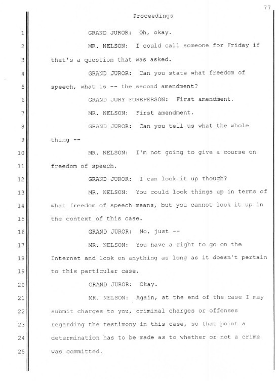 Eric Nelson told a Staten Island Grand Jury to ignore the First Amendment. Eric Nelson told a Staten Island Grand Jury to ignore the First Amendment.