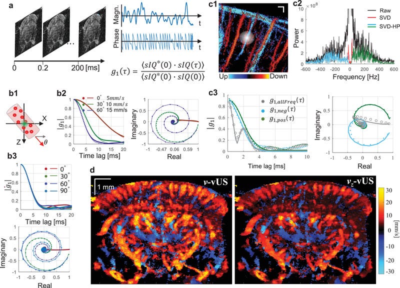 Using autocorrelation (b2) allows us to estimate the velocity of blood flow (d) rather than volume or number of scatterers. From Tang et al. (2020). Using autocorrelation (b2) allows us to estimate the velocity of blood flow (d) rather than volume or number of scatterers. From Tang et al. (2020).