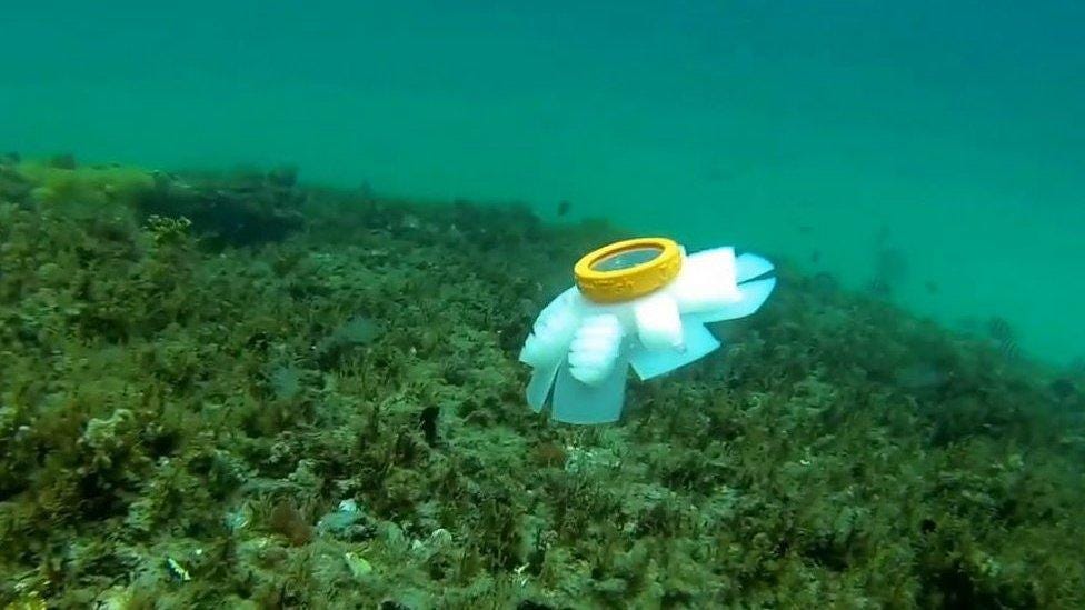 Jellyfish robots to watch over endangered coral reefs - BBC News