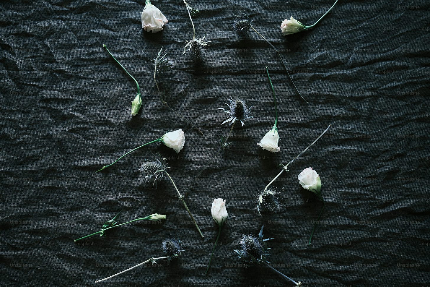 a bunch of flowers that are laying on a table a bunch of flowers that are laying on a table